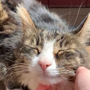 Meet your Posher, Lena